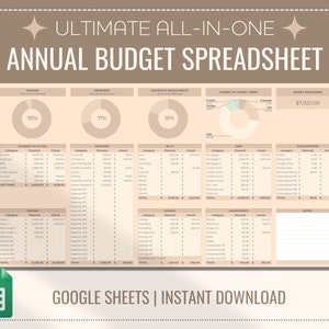 Annual Budget Spreadsheet Template for Google Sheets, Financial Planner Dashboard, Net Worth Tracker, Savings Tracker, Budget Template, Boho