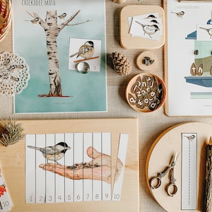 May include: A set of educational materials for children featuring a chickadee bird theme. The set includes a printable worksheet with a chickadee on a tree, a bird feeder with the word "this" on it, a set of alphabet tiles, and a printable worksheet with a chickadee on a hand.