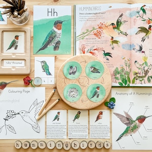 Hummingbird Nature Pack