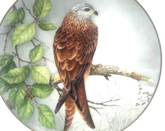 Limoges Red Kite porcelain plate Franklin Mint Ltd First Edition 1984.
