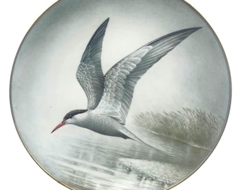 Limoges Common Tern porcelain plate Franklin Mint Ltd First Edition 1984.