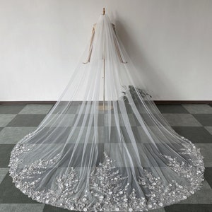 May include: A white bridal veil with a delicate floral lace trim. The veil is long and flowing, with a cathedral length.