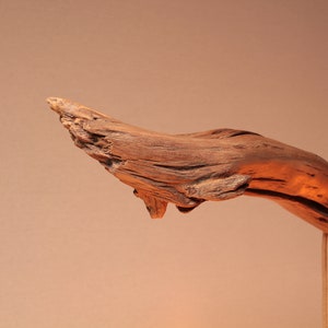 Hängelampe / 167cm langer Eichenast / Einzelstück / Holz / Ast / Pendelleuchte / Esstisch / Deckenlampe / Küchentischlampe / modern Bild 5