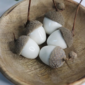 Op de afbeelding: Vijf decoratieve eikels met gladde, glanzend witte keramische lichamen en getextureerde, natuurlijk bruine dopjes. Elke eikel heeft een dun, donkerbruin steeltje aan de bovenkant. De eikels liggen samen in een ondiepe, ronde houten kom.
