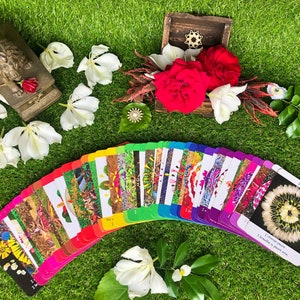 Flower Power Affirmation Cards