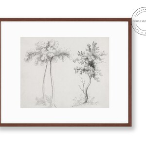Maple Tree Landscape Vintage Sketch - 1817 - 1907 | DIGITAL DOWNLOAD PRINT | 180 | Printable Wall Art Decor