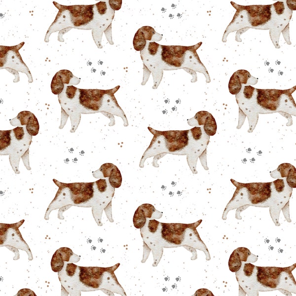 Épagneul Springer, motif sans couture chien, motif sans couture pour animaux de compagnie, chien sans couture, non exclusif, fond blanc/spot