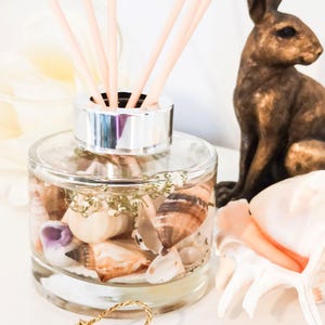 May include: A clear glass diffuser bottle with a silver lid and wooden sticks. The bottle is filled with a clear liquid and seashells.