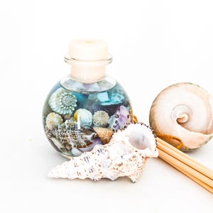 May include: A clear glass spherical bottle filled with various small seashells and liquid, topped with a light-coloured cork stopper. A large, textured white conch shell and several thin wooden diffuser reeds are positioned in front of the bottle.