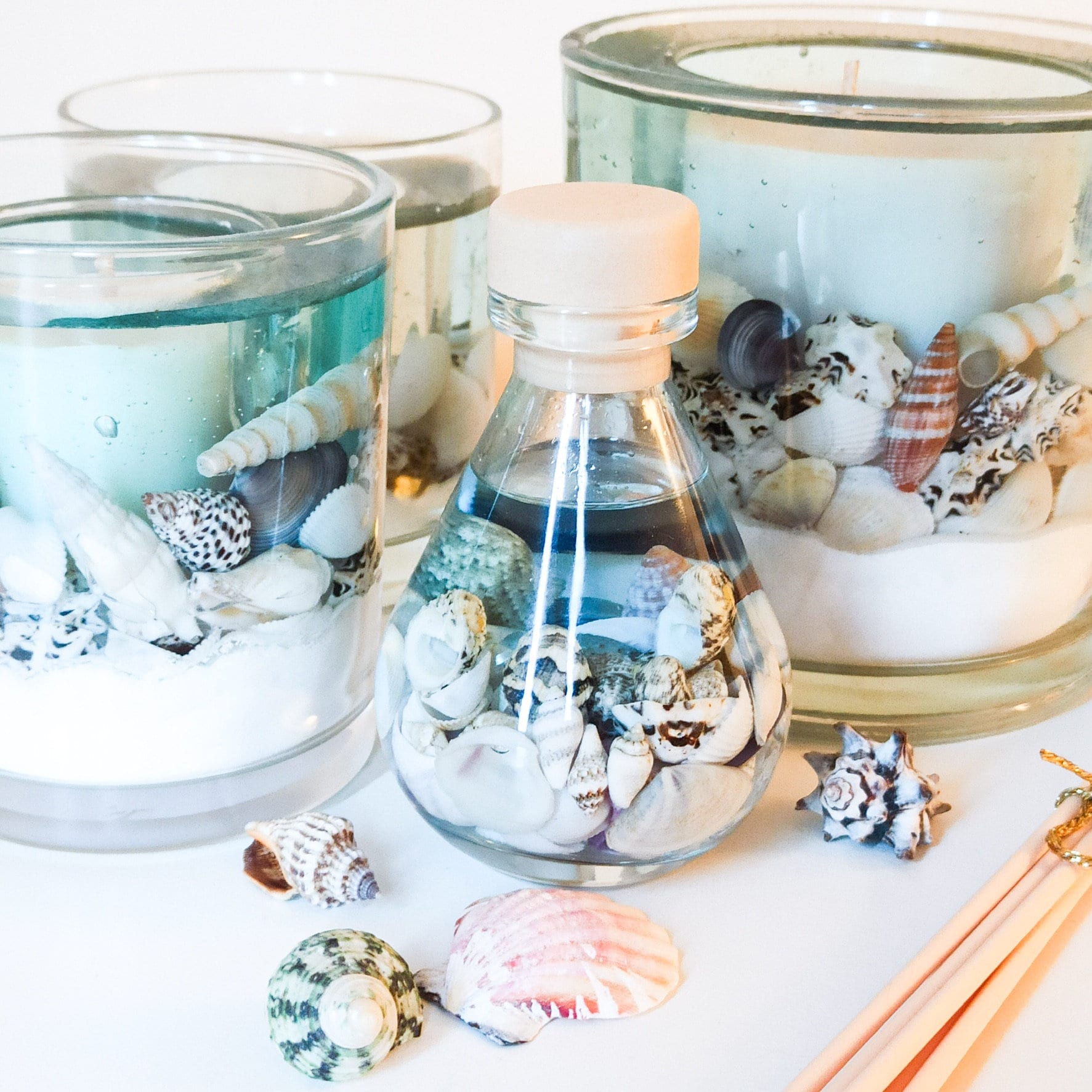 Blue Sea Botanical Reed Diffuser: Beach Shells, Home Fragrance - Etsy UK