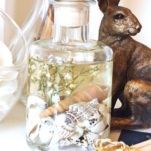 May include: A clear glass bottle filled with water, small white flowers, and seashells. The bottle has a cork stopper and is sitting on a white surface.