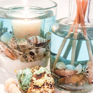 May include: Two glass jars filled with blue liquid and seashells. One jar has a candle inside and the other has wooden sticks.