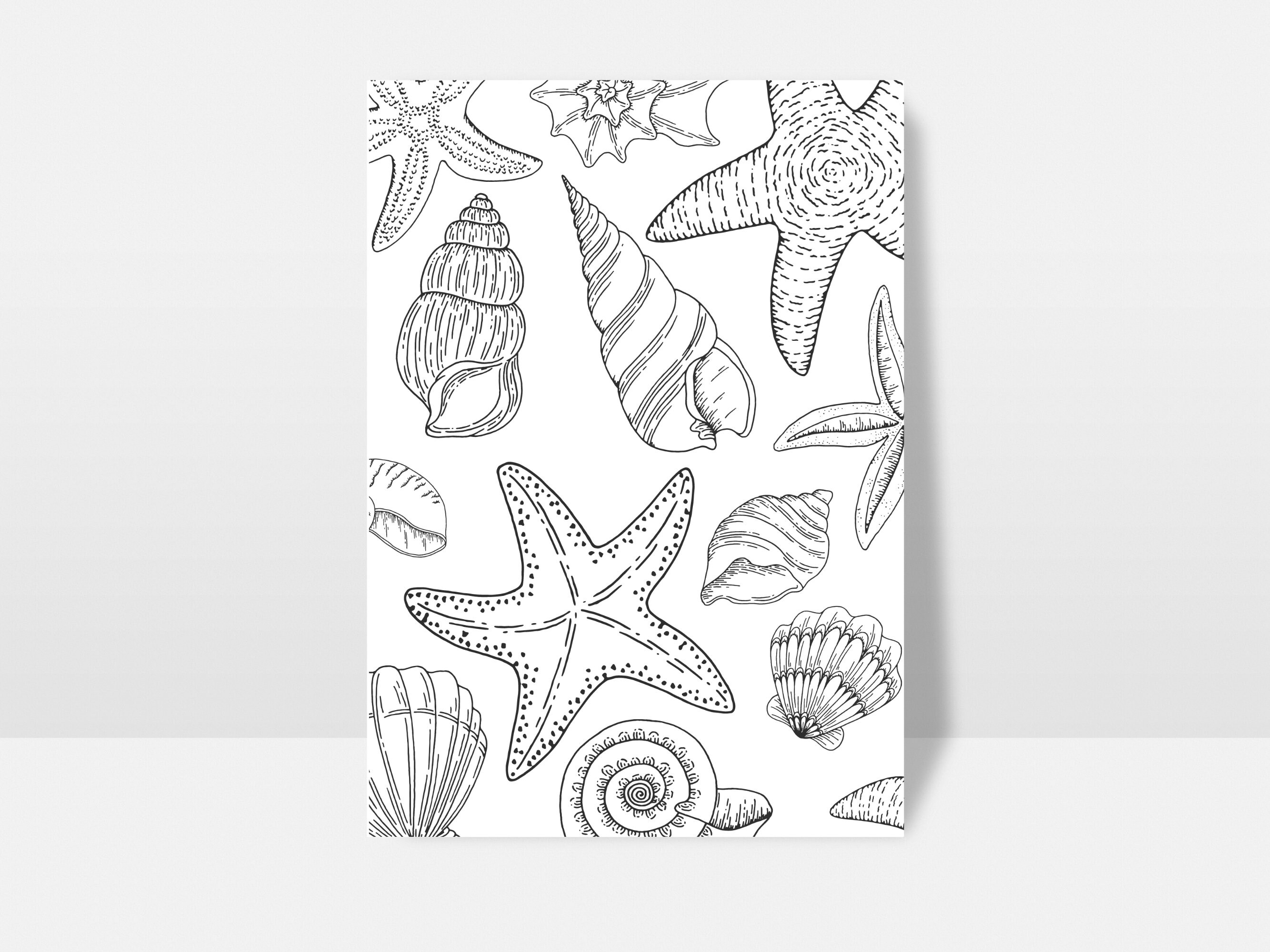 Sea Shells Print / Digital Download / Printable Poster / Posters and ...