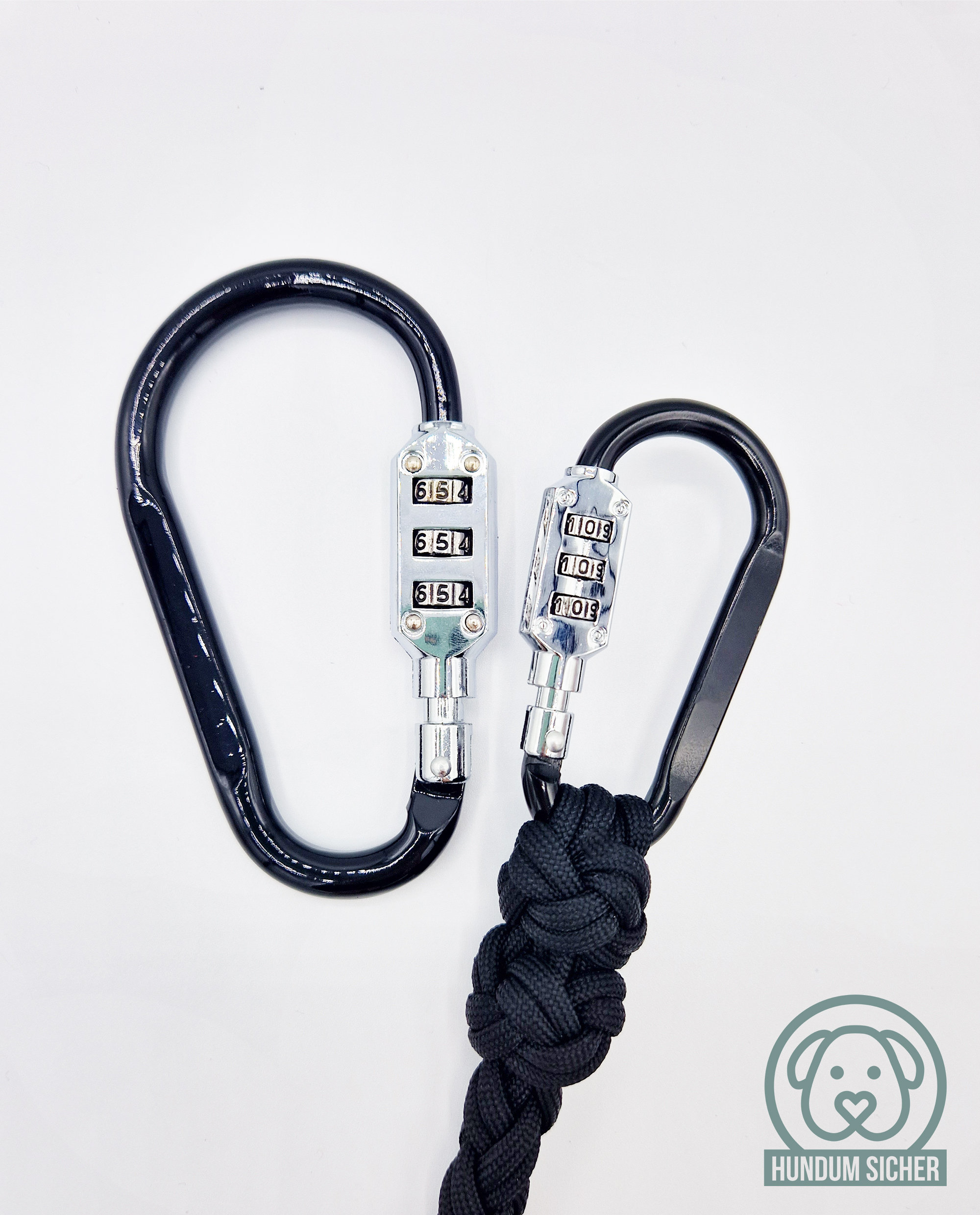 Anti-theft Dog Leash and Collar Set Made of Paracord - Lockable With ...