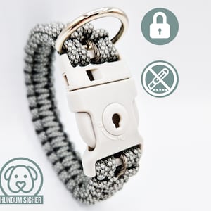 Anti-theft dog collar - lockable with lock [Gray]