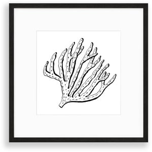Coral Digital Art Print - Black on White