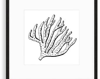 May include: Black and white line drawing of a coral branch with a textured surface.