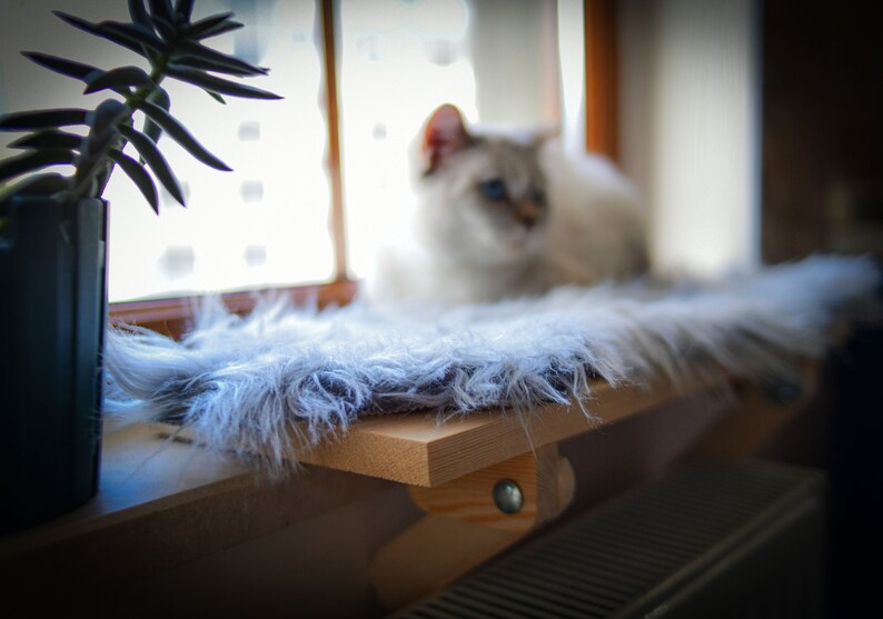 Cat Window Perch No Tools No Screws No Drill Needed Etsy