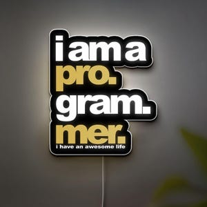 Programmer 3D Light Box - Coding and Tech Themed LED Night Light, Geek Wall Decor for Developers and Gamers