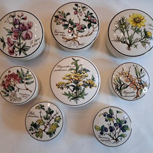 Op de afbeelding: Een verzameling van acht ronde keramische sieradendoosjes met bloemen- en botanische illustraties. Elk doosje heeft een witte basis, een zwarte rand en een gedetailleerd botanisch ontwerp op het deksel, inclusief bloemen, bessen en bladeren. De doosjes variëren in grootte en ontwerp.