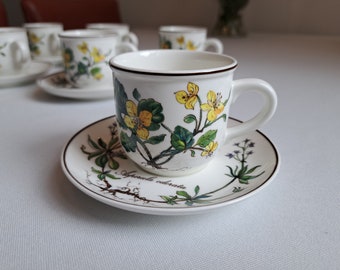 Villeroy & Boch Botanica mocha/espresso cups loose