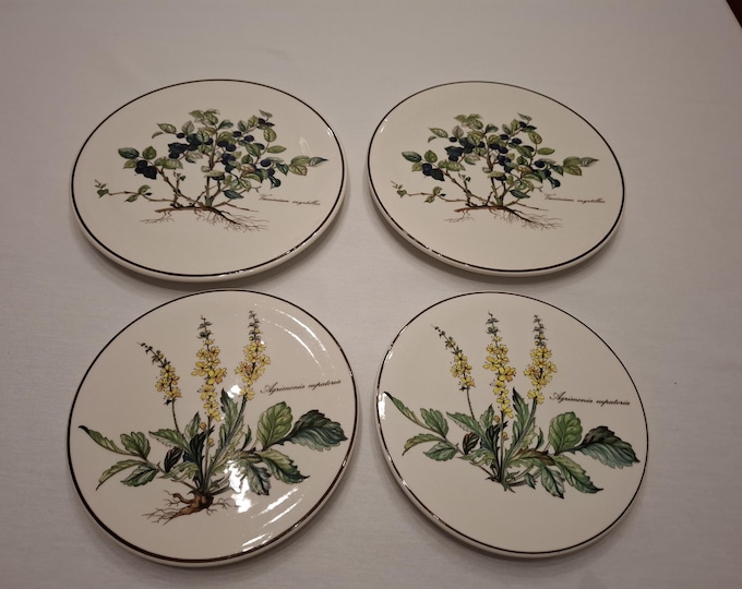 Villeroy & Boch Botanica coasters