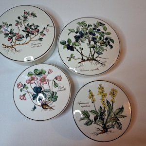 Villeroy & Boch ビレロイ&ボッホ　ボタニカ　大皿 Villeroy boch botanica - Etsy 日本