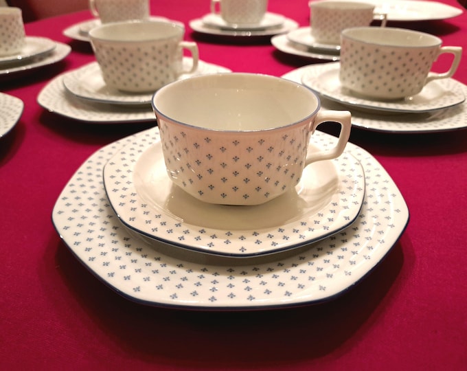 Seltmann Weiden Bavaria porcelain tea set Aurelia (8 persons)