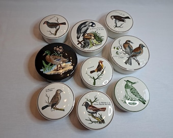 Może przedstawiać: Kolekcja dekoracyjnych ceramicznych pudełek na drobiazgi z ilustracjami ptaków. Wieczka przedstawiają różne gatunki ptaków w szczegółowych rysunkach, z tekstem na niektórych pudełkach. Pudełka są białe ze srebrnym obramowaniem.