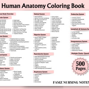 500+ Human Anatomy Coloring Book Bundle | Anatomy Study Guide | Anatomy ...