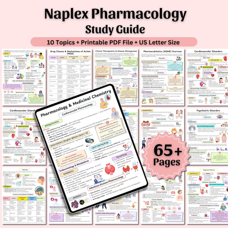 How To Study For Naplex