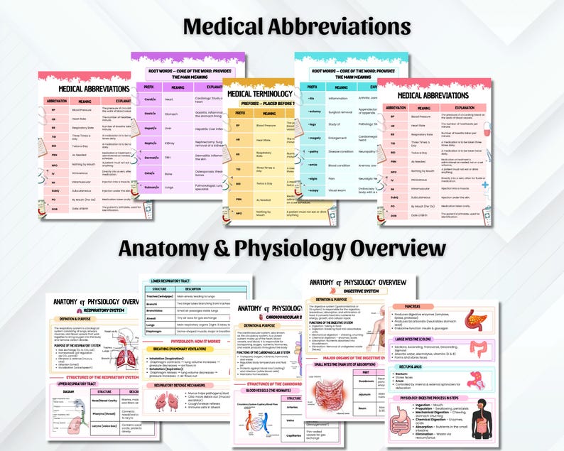 May include: A collection of medical study guides with titles like "Medical Abbreviations" and "Anatomy & Physiology Overview." The guides feature colorful layouts with text and diagrams, designed for educational purposes. The top of the image reads "Medical Abbreviations."