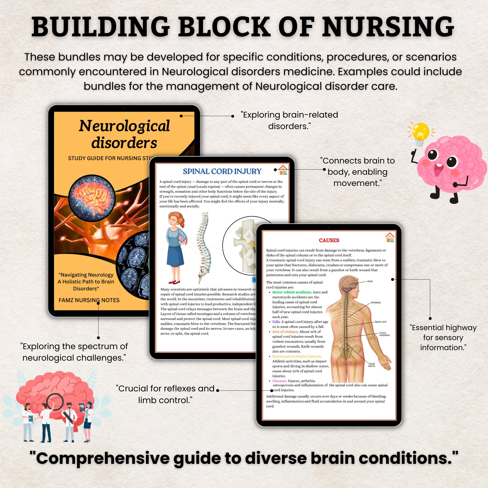Neuro Study Guide Bundle | Neurological System Disorders | Neurological ...