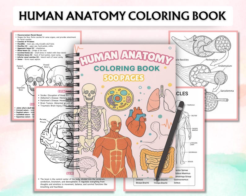 Może przedstawiać: Spiralnie oprawiona "Human Anatomy Coloring Book" z 500 stronami. Okładka zawiera tytuł w kolorze r&oacute;żowym, z ilustracjami ludzkiego ciała, narząd&oacute;w i układu szkieletowego. Czarny rysik spoczywa na otwartych stronach, kt&oacute;re zawierają szczeg&oacute;łowe diagramy anatomiczne.
