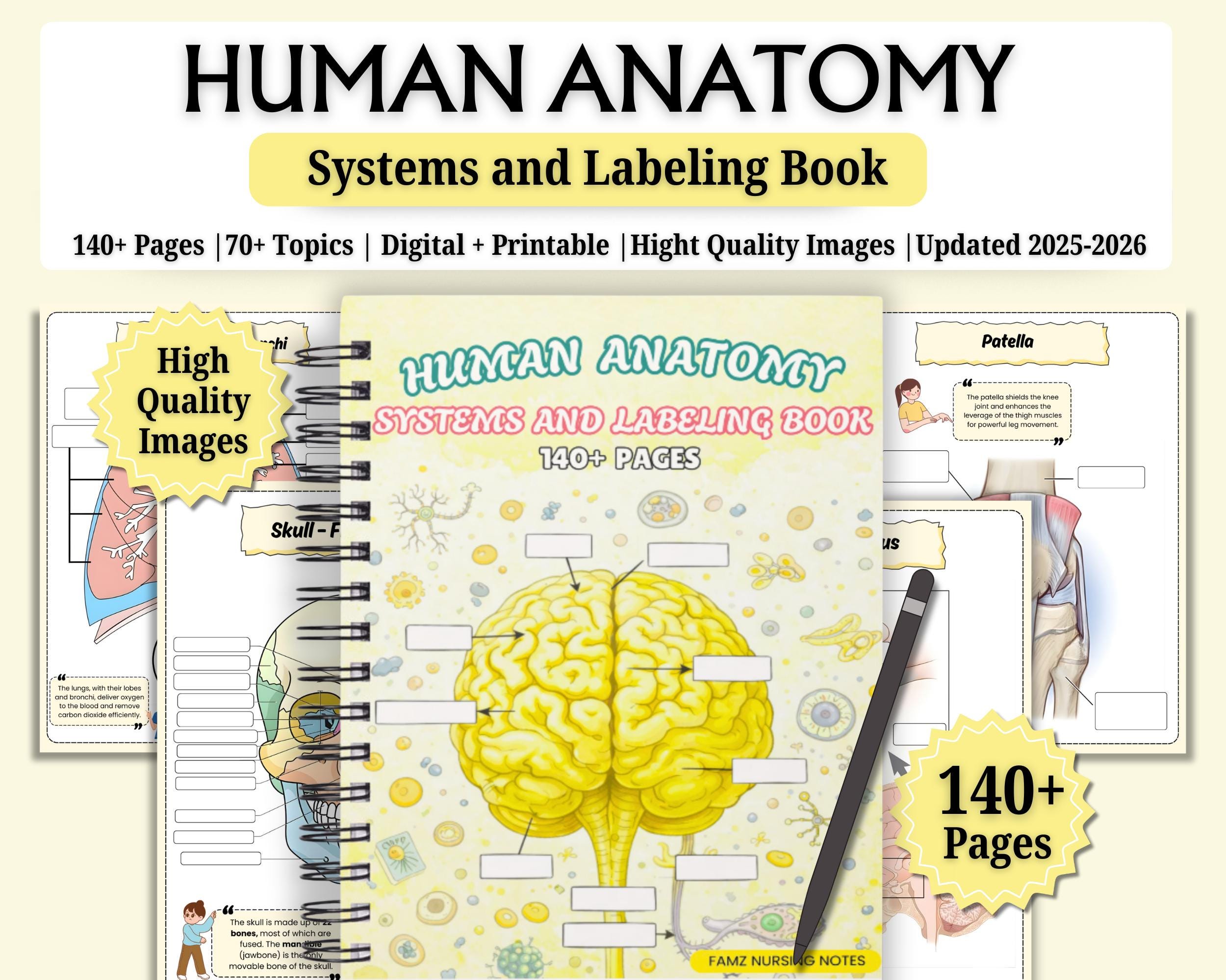 Human Anatomy Systems and Labeling Book | Anatomy & Physiology Study ...