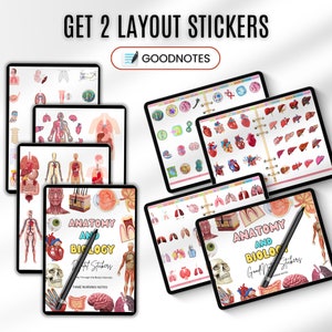 May include: Two sets of digital stickers for Goodnotes app. The stickers are colorful and feature anatomical illustrations of the human body. The stickers are labeled "Anatomy and Biology" and "Digit Stickers".