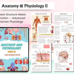 Może przedstawiać: Cyfrowy tablet wyświetlający "Anatomy & Physiology II" ze szczeg&oacute;łowymi diagramami anatomii człowieka. Towarzyszące strony pokazują układy mięśniowy, oddechowy i powłokowy oraz ludzkie serce. Tekst zawiera "Where Structure Meets Function - Advanced Human Physiology."
