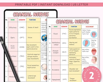 Cranial Nerves Nursing | Cheat Sheet For Nursing Students | Nursing Study Guide | Health Assessment | PDF