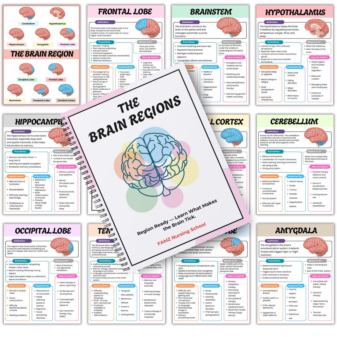 The Brain Regions Cheat Sheet | Brain Anatomy | Human Brain | Brain ...