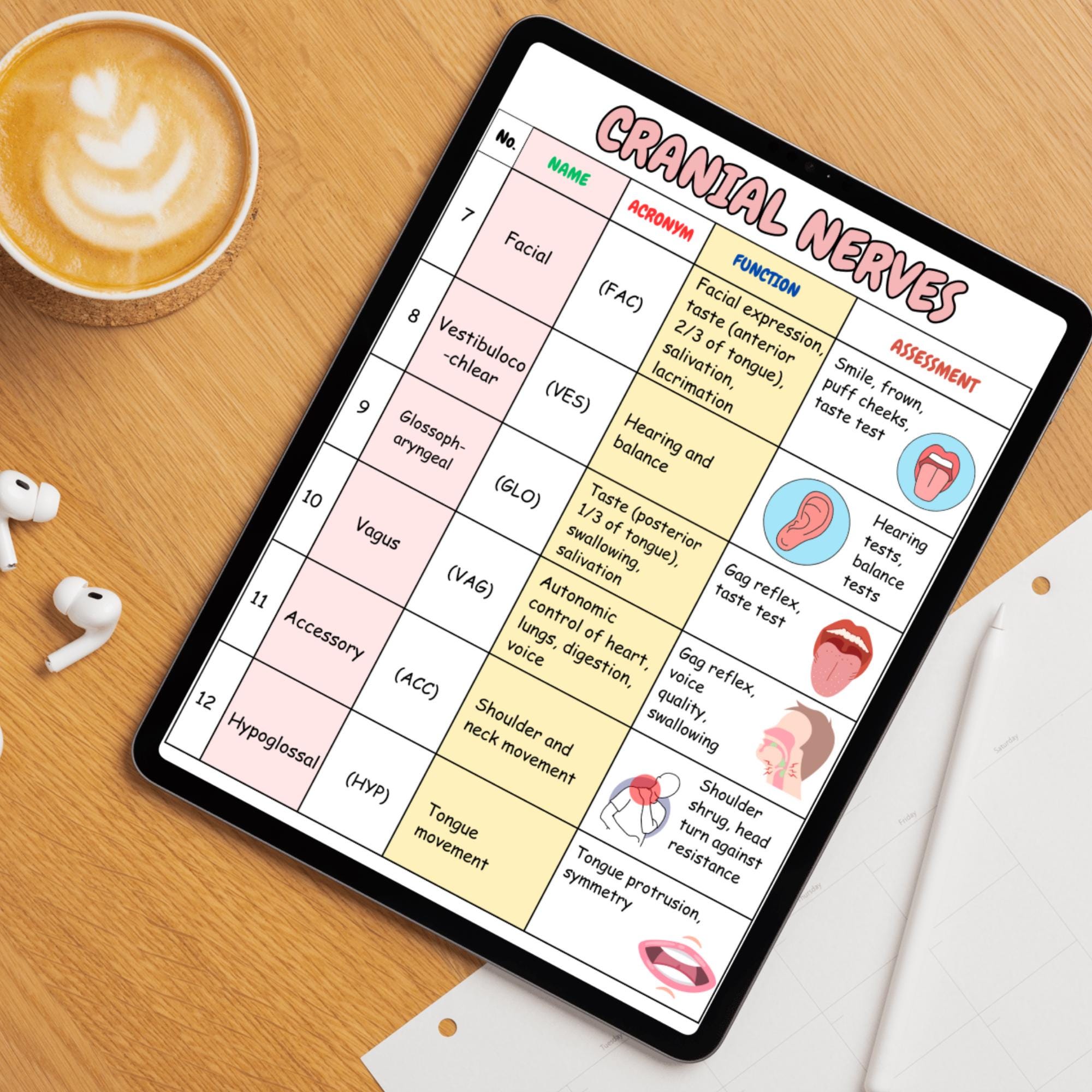 Cranial Nerves Nursing | Cheat Sheet for Nursing Students | Nursing ...