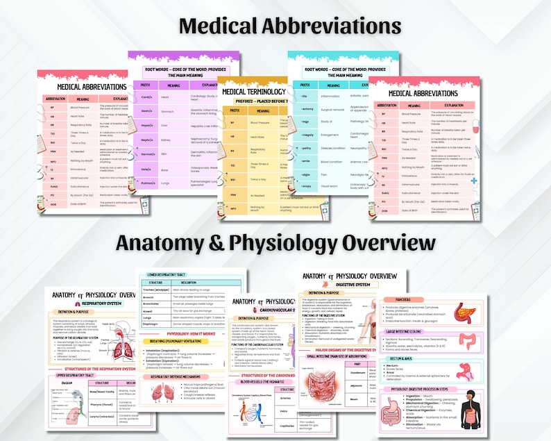 Medical Assistant Notes | Nursing Cheat Sheet | Medical Assistant Study ...