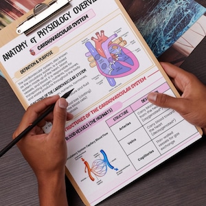May include: A clipboard with a printed anatomy chart titled "Anatomy & Physiology Overview: Cardiovascular System." The chart includes diagrams of the heart and blood vessels, with text describing the system's functions and structures. A black pencil is held over the chart.