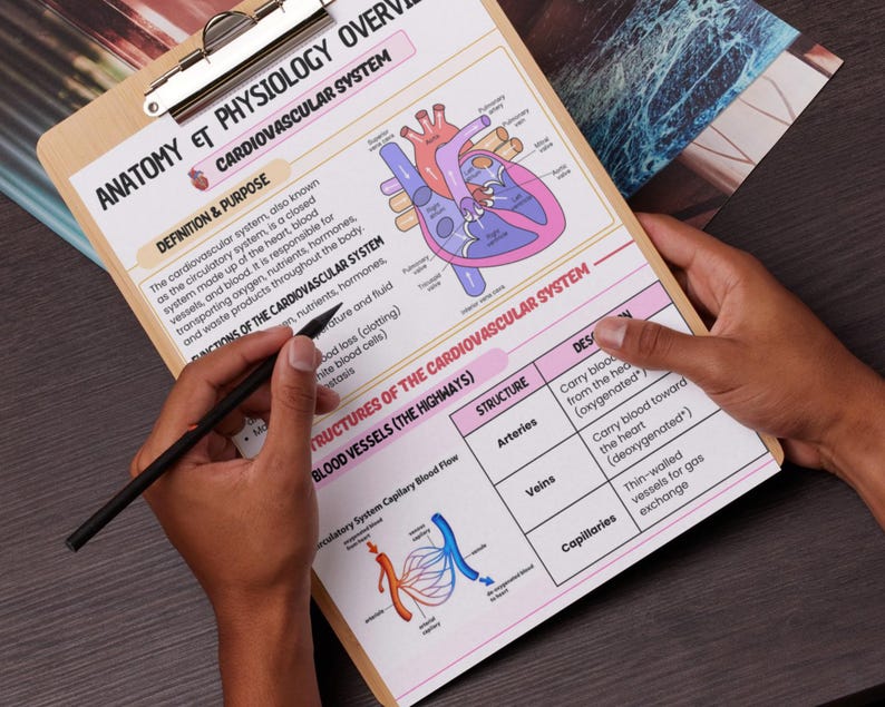 May include: A clipboard with a printed anatomy chart titled "Anatomy & Physiology Overview: Cardiovascular System." The chart includes diagrams of the heart and blood vessels, with text describing the system's functions and structures. A black pencil is held over the chart.