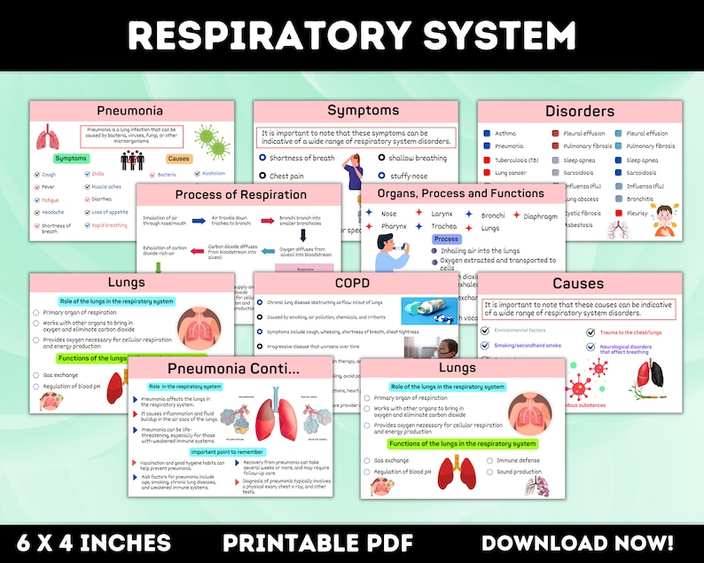 15 Respiratory System Flashcards Printable Respiratory Etsy