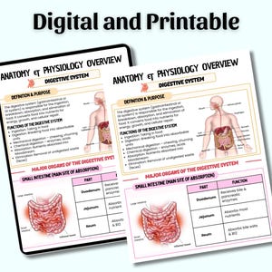May include: Two digital and printable anatomy and physiology overview charts. The charts display information about the digestive system, including its definition, functions, and major organs. The charts are designed for educational purposes.
