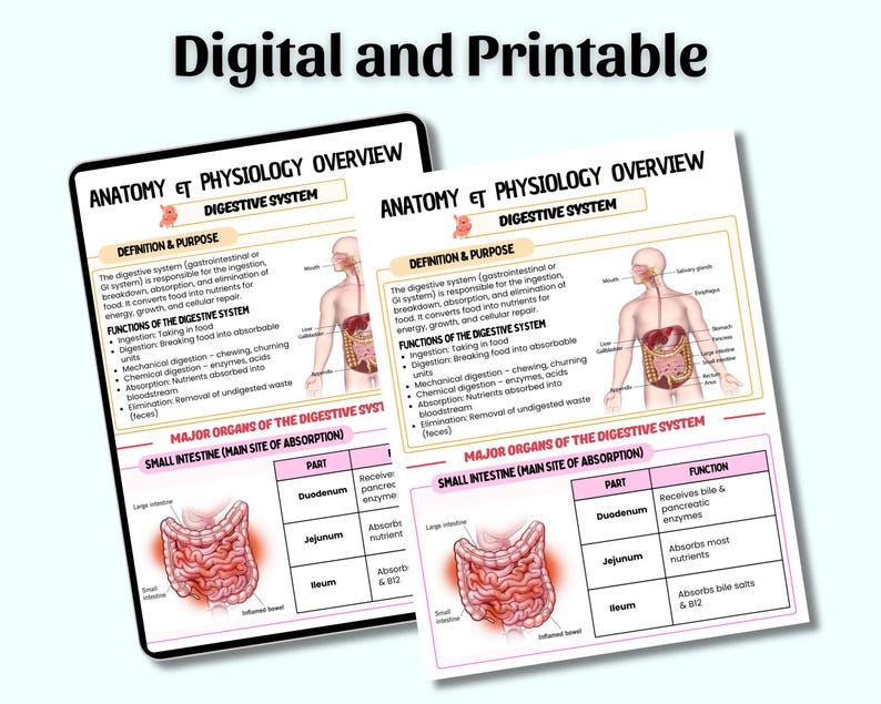 May include: Two digital and printable anatomy and physiology overview charts. The charts display information about the digestive system, including its definition, functions, and major organs. The charts are designed for educational purposes.