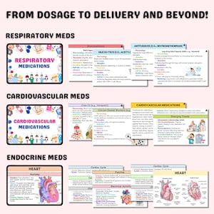 May include: A colorful infographic with illustrations of medical professionals and cartoon characters. The infographic is divided into three sections: Respiratory Meds, Cardiovascular Meds, and Endocrine Meds. Each section includes a list of medications and their uses.