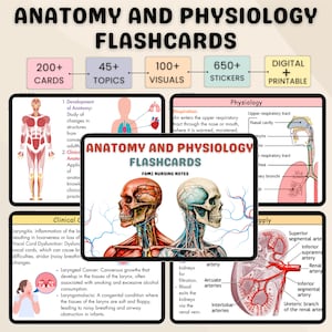 Más de 200 fichas de anatomía y fisiología / Guía de estudio de anatomía / Apuntes de enfermería / Fichas de anatomía / Enfermería de anatomía / Apuntes de fisiología