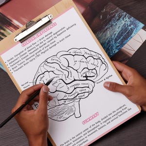 500+ Human Anatomy Coloring Book Bundle | Anatomy Study Guide | Anatomy ...