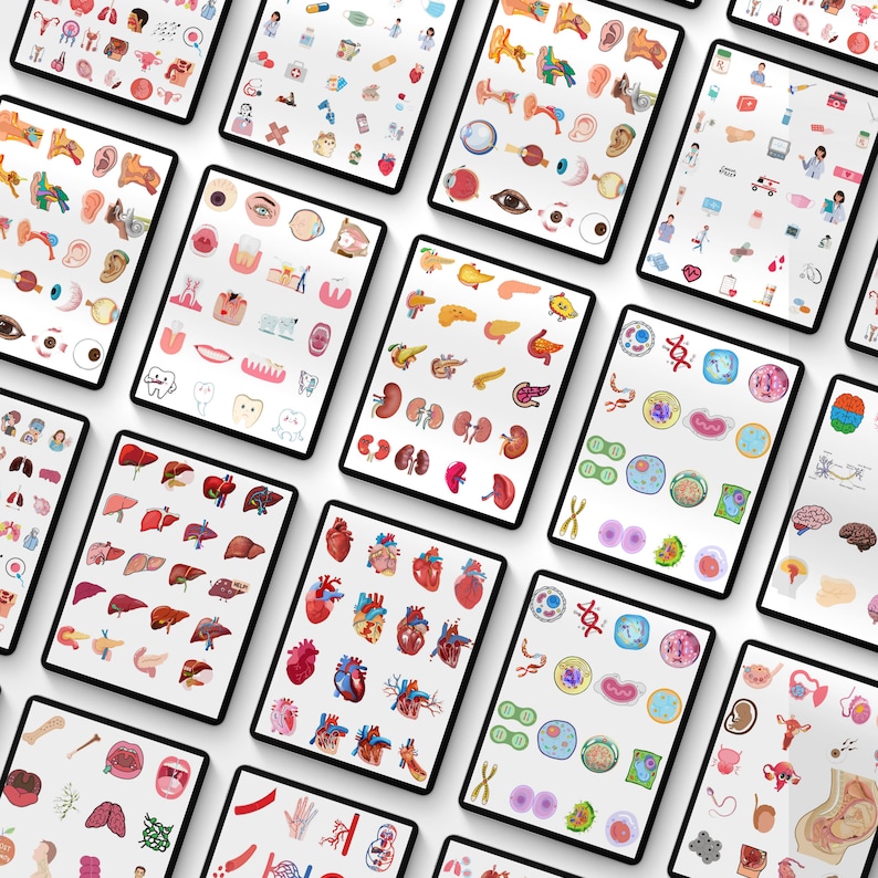 May include: A collection of digital illustrations of various human organs and body parts, including the heart, lungs, brain, kidneys, liver, stomach, intestines, eyes, ears, teeth, and more. The illustrations are colorful and detailed, and they are arranged in a grid pattern on a white background.